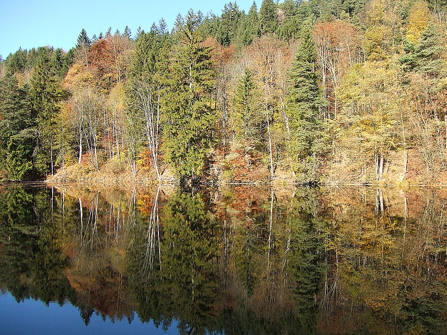 Haus Antonie - Ferienwohnungen in Füssen im Allgäu - Gipsbruchweiher im Herbst
